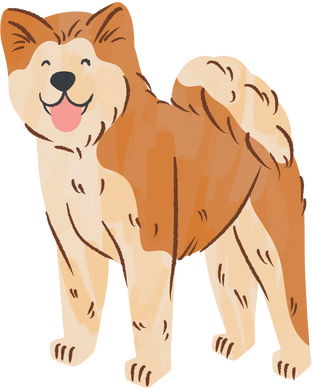 Cute Handdrawn  Akita Inu